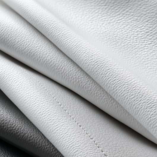 Spray Tan Subscription